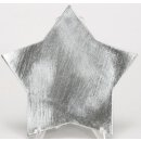 dekorativer Teller Dekoteller Untersetzer in Sternform metallic glänzend klein ca. 16 cm