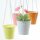 dekorativer fröhlicher farbiger Blumentopf zum hängen Preis für 2 Stück