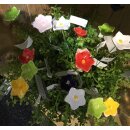 dekorative fröhlich bunte Mini-Blütenpicks Mini Blumen-Stecker kleiner Blütenkelch in 6 Farben sortiert