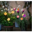 ausgefallener dekorativer solarbetriebener LED Gartenstecker Blüte LED in warmweiß als 2-er Set in verschiedenen Farben