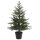 dekorativer Weihnachtsbaum Kunsttanne im Topf mit LED Beleuchtung warmweiß mit Blinkeffekt und Timerfunktion für innen und außen