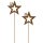weihnachtlicher stimmungsvoller Garten-Stecker Stern am Stab Dekostern Metall rostig mit Goldglitzer Preis für 2 Stück