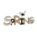 dekorativer Schriftzug Spring Frühling mit Vogel aus...