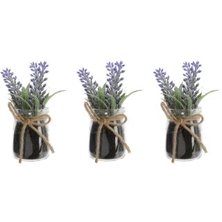 dekorative Kunstblume Lavendel als kleiner Busch im klaren Kunststoff-Topf