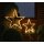dekorative LED Leuchte Stern oder Tannenbaum als doppelte Silhouette am Stab als Beetstecker für innen und außen