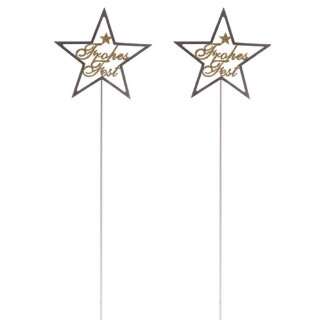 weihnachtlicher stimmungsvoller Garten-Stecker Stern am Stab Dekostern Metall silber mit Goldglitzer FROHES FEST Preis für 2 Stück