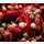 9-er Set dekorativer Kugelmix PVC antik grün rot champagner Weihnachtskugeln Baumschmuck bruchfest Christbaumschmuck