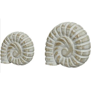 individuelles Deko-Objekt Ammonit Holz weiß gewischt zum stellen oder legen in 2 verschiedenen Größen