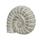 individuelles Deko-Objekt Ammonit Holz weiß gewischt zum stellen oder legen in 2 verschiedenen Größen